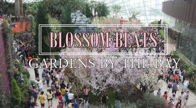 [EXPLORE SG] SAKURA (CHERRY BLOSSOMS) IN BLOOMS AT GARDENS BY THE BAY WITHOUT PAYING FLIGHT TICKET TO JAPAN