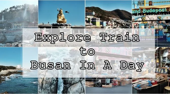 [KOREA TRAVELS] Train to Busan In A Day- Haedong Yonggunsa , Gamcheon Cultural Village & Jalgachi Fish Market